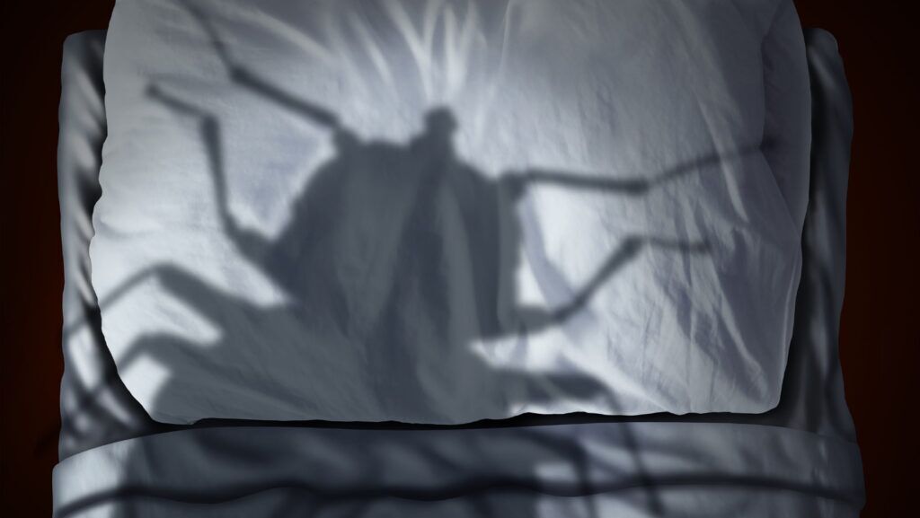 Do Dryer Sheets Repel Bed Bugs? How? 2 Untitled design 14